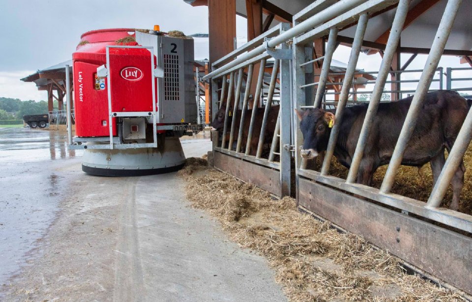 'Sinds ik de boerderij overnam, is het een totaal ander bedrijf geworden', zegt Erik Back. Future Farm is nu een kennis- en innovatiehub voor circulaire rundveehouderij. © André Weima